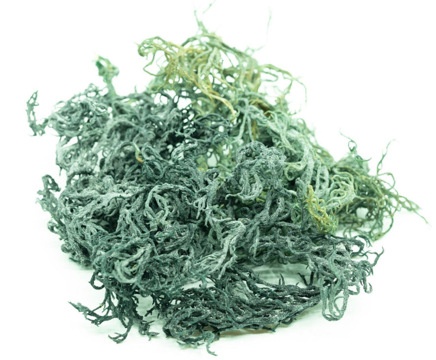 Wildcrafted St. Lucia Dry Green Sea Moss
