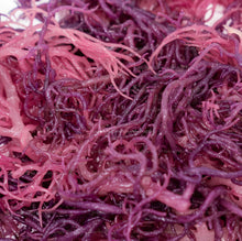 Load image into Gallery viewer, Wildcrafted St. Lucia Dry Purple Sea Moss
