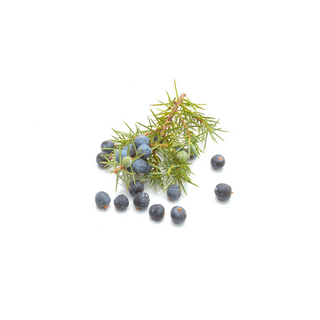 Allspice (Whole)