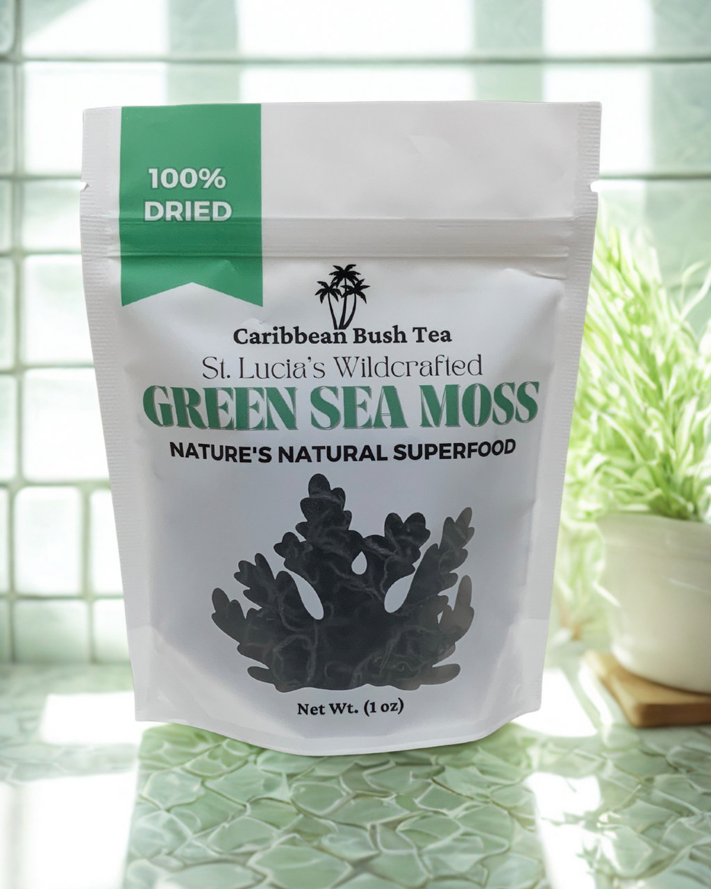 St. Lucia Dry Green Sea Moss – Caribbean Bush Tea