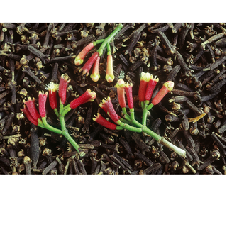 Cloves (Whole)