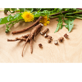 Dandelion Root