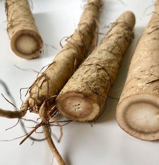 Sea Moss Capsules with Bladderwrack & Burdock Root