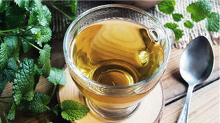 Lemon Balm