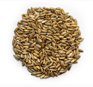 Milk Thistle Seed