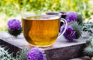 Milk Thistle Seed
