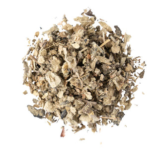 Mullein Leaf Tea
