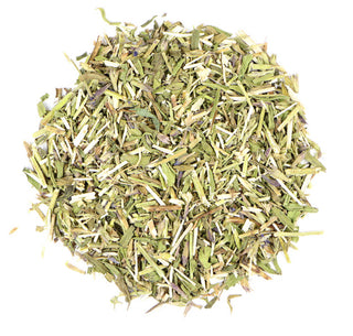 Hyssop