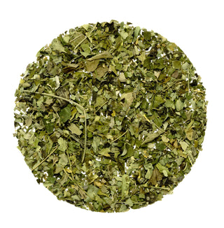 Moringa Tea