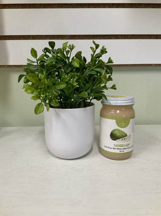 Soursop Sea Moss Gel