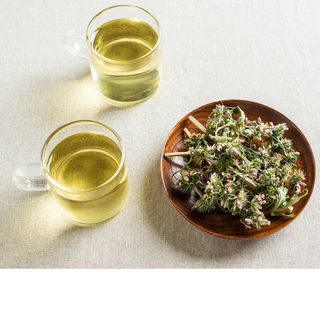 Motherwort Herb