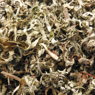 Mugwort Herb Tea