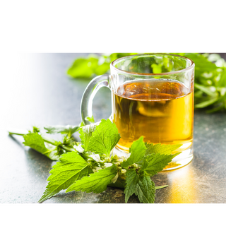 Nettle Leaf