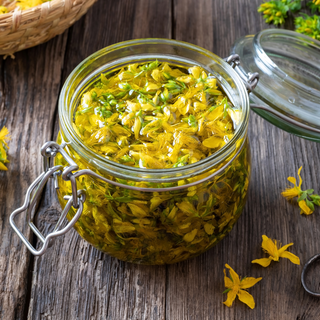 St John's Wort Herb