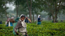 Load image into Gallery viewer, Assam Tea
