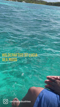 Load and play video in Gallery viewer, Wildcrafted St Lucia Sea Moss Gel
