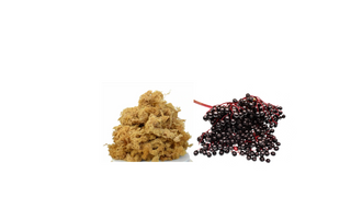 Sea Moss Capsules with Elderberry