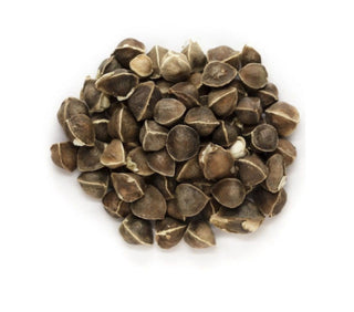 Moringa Tea