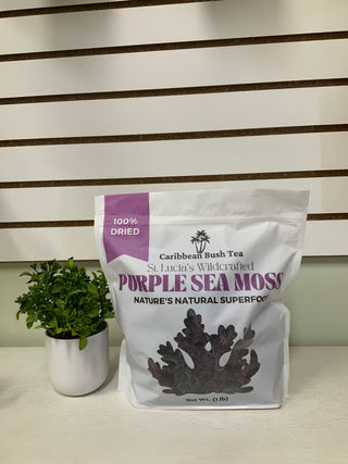 St. Lucia Dry Purple Sea Moss