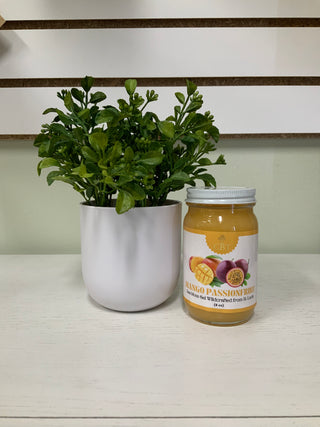 Mango  Passionfruit Sea Moss Gel