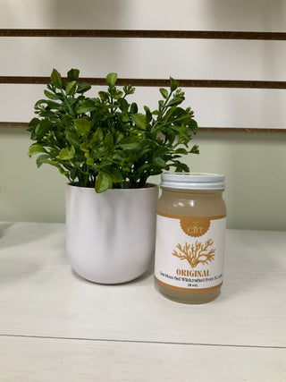 Original Sea Moss Gel