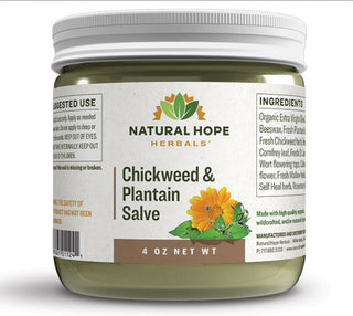 Chickweed & Plantain Salve