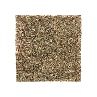 Vervain Herb