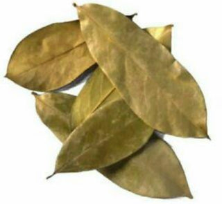 Soursop ( Graviola) Whole Leaves